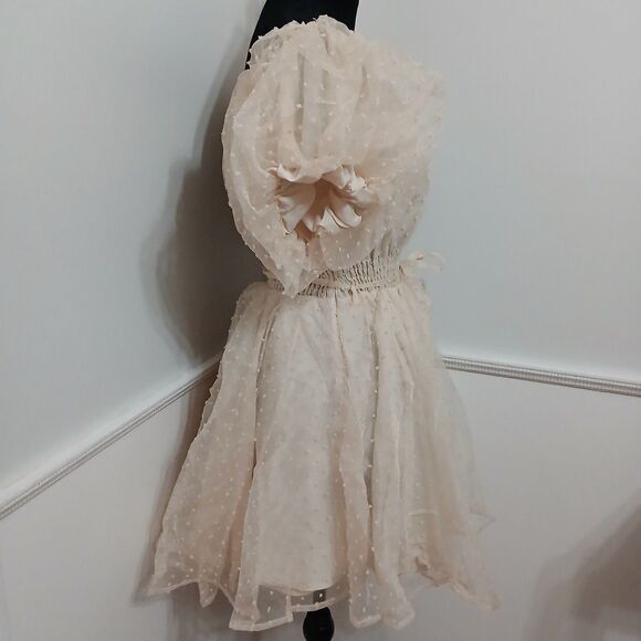 Women's Champagne Swiss Dot Puff Sleeve Babydoll Mini Dress Size L New - Picture 3 of 8